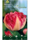 Тюльпан Майвондер (Tulipa Maywonder)