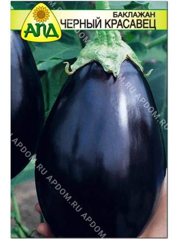 Баклажан Черный Красавец (Solanum melongena L.)