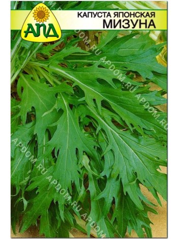 Капуста японская Мизуна (Brassica rapa var. Japonica)