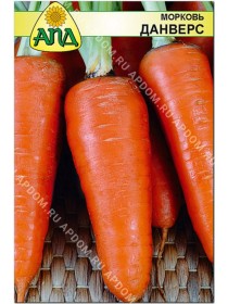Морковь Данверс