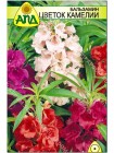 Бальзамин Цветок Камелии (Impatiens balsamina)